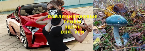 ALPHA PVP Лихославль
