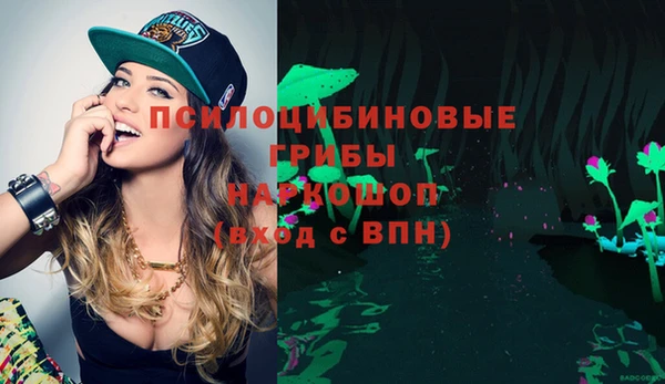 соль ск Майский