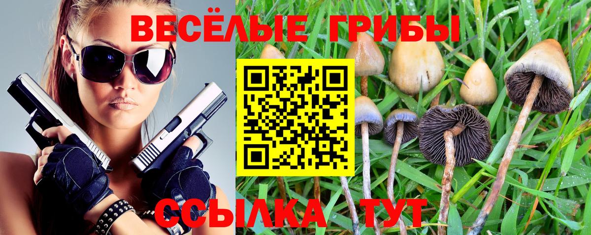 Псилоцибиновые грибы ЛСД Уссурийск