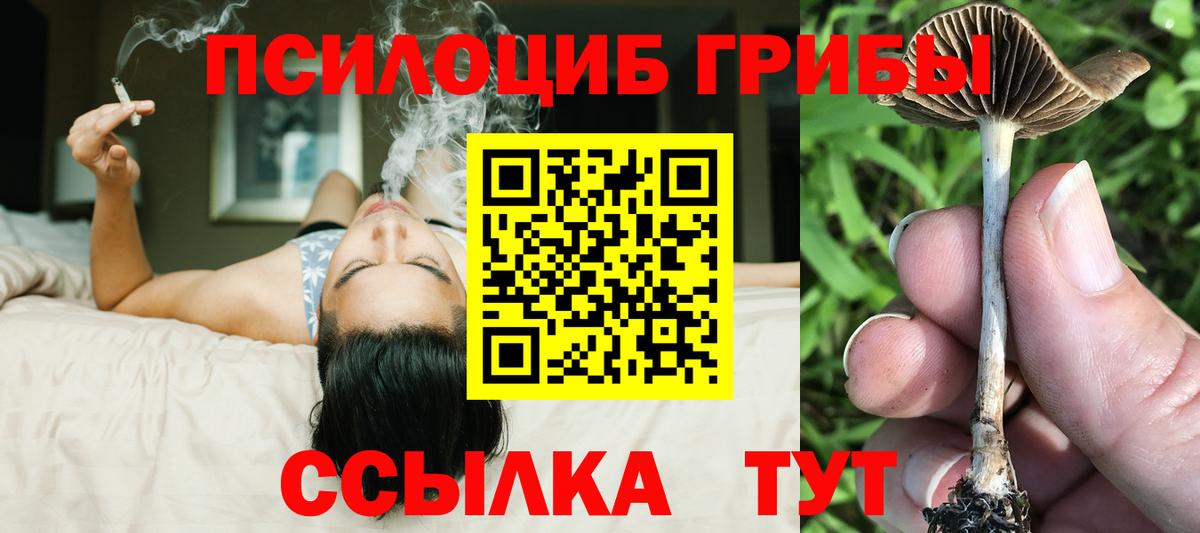 Псилоцибиновые грибы ЛСД  Вход с VPN  Уссурийск  Галлюциногенные грибы Magic Shrooms 